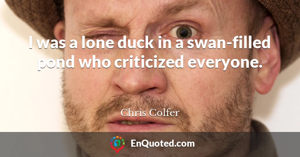 I was a lone duck in a swan-filled pond who criticized everyone.