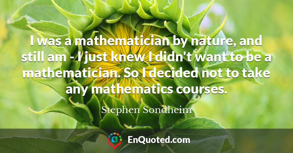 I was a mathematician by nature, and still am - I just knew I didn't want to be a mathematician. So I decided not to take any mathematics courses.