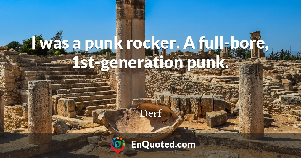 I was a punk rocker. A full-bore, 1st-generation punk.