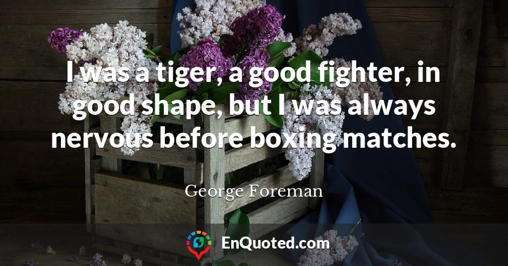 I was a tiger, a good fighter, in good shape, but I was always nervous before boxing matches.