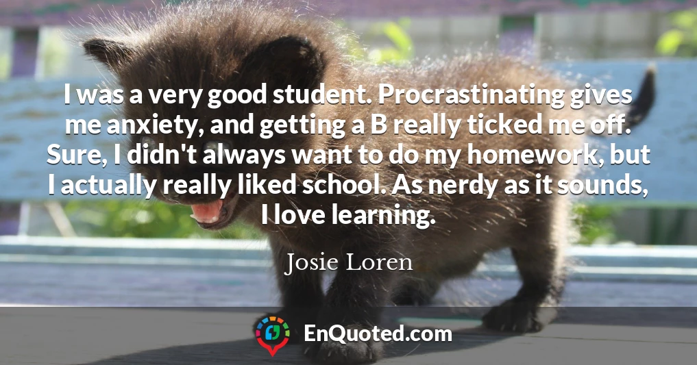 I was a very good student. Procrastinating gives me anxiety, and getting a B really ticked me off. Sure, I didn't always want to do my homework, but I actually really liked school. As nerdy as it sounds, I love learning.