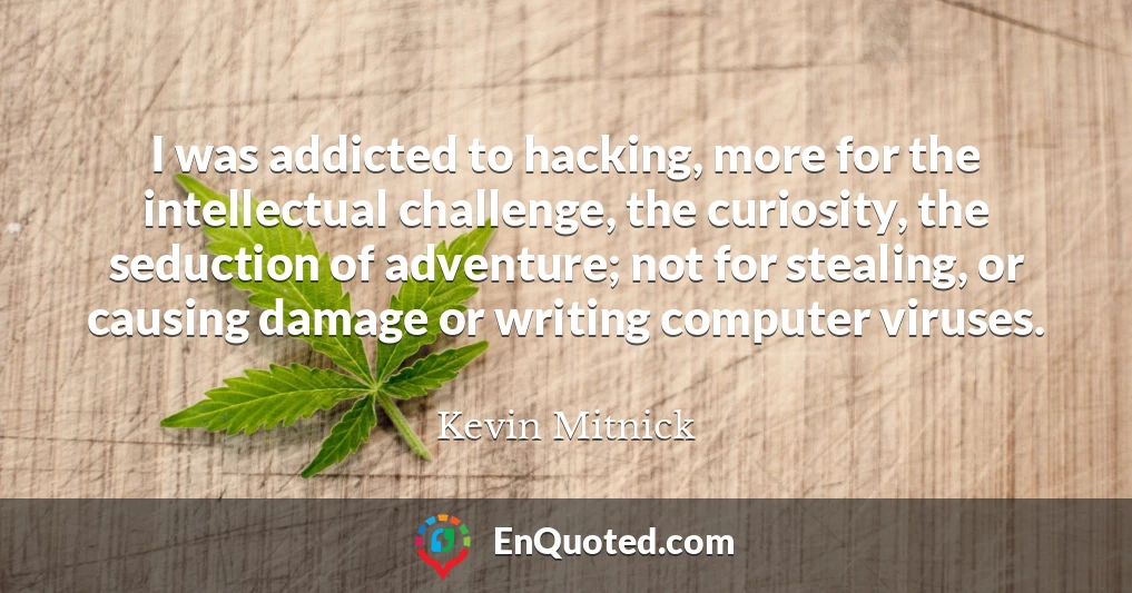 I was addicted to hacking, more for the intellectual challenge, the curiosity, the seduction of adventure; not for stealing, or causing damage or writing computer viruses.