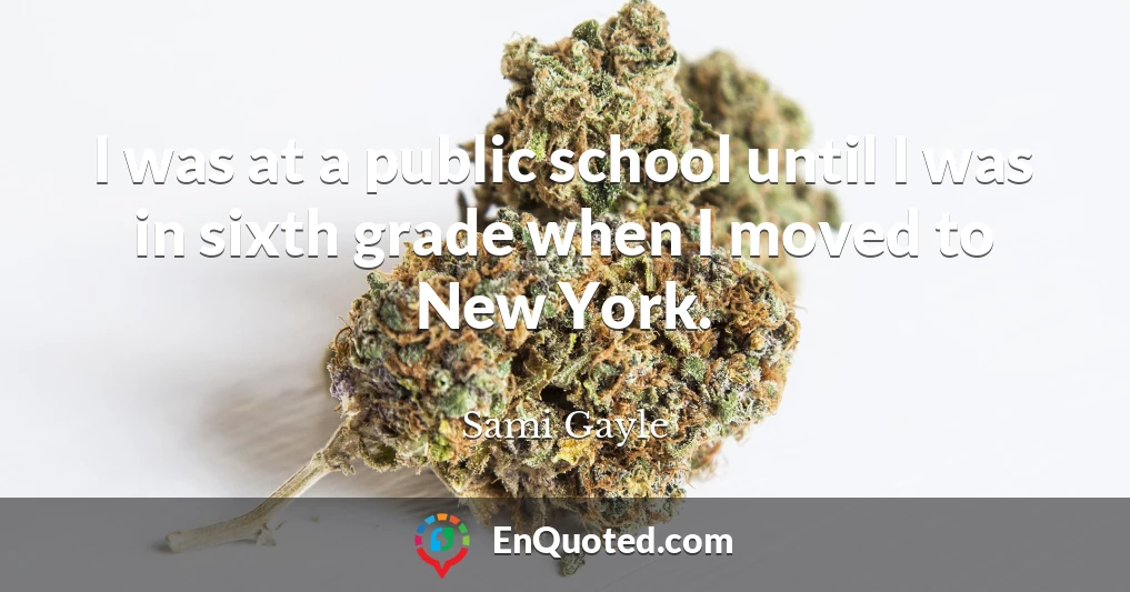 I was at a public school until I was in sixth grade when I moved to New York.