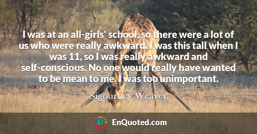 I was at an all-girls' school, so there were a lot of us who were really awkward. I was this tall when I was 11, so I was really awkward and self-conscious. No one would really have wanted to be mean to me. I was too unimportant.