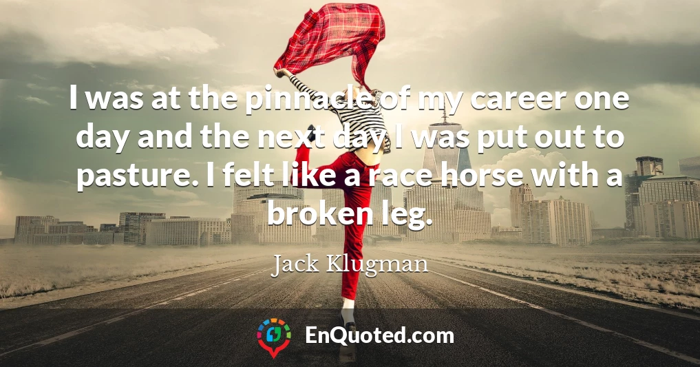 I was at the pinnacle of my career one day and the next day I was put out to pasture. I felt like a race horse with a broken leg.