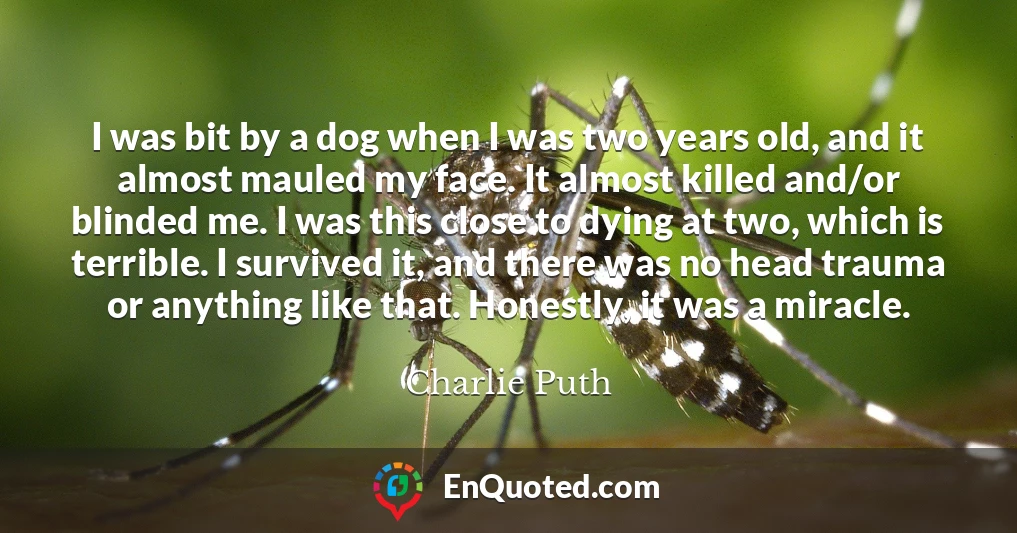 I was bit by a dog when I was two years old, and it almost mauled my face. It almost killed and/or blinded me. I was this close to dying at two, which is terrible. I survived it, and there was no head trauma or anything like that. Honestly, it was a miracle.