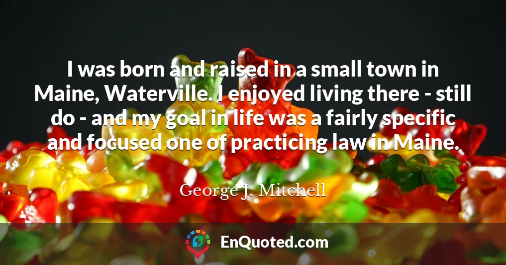 I was born and raised in a small town in Maine, Waterville. I enjoyed living there - still do - and my goal in life was a fairly specific and focused one of practicing law in Maine.