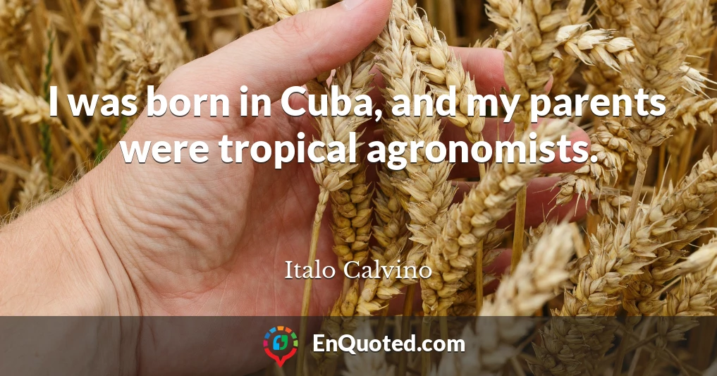 I was born in Cuba, and my parents were tropical agronomists.