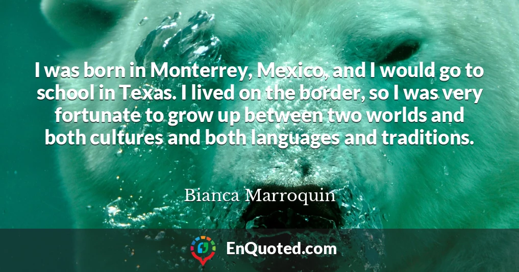 I was born in Monterrey, Mexico, and I would go to school in Texas. I lived on the border, so I was very fortunate to grow up between two worlds and both cultures and both languages and traditions.