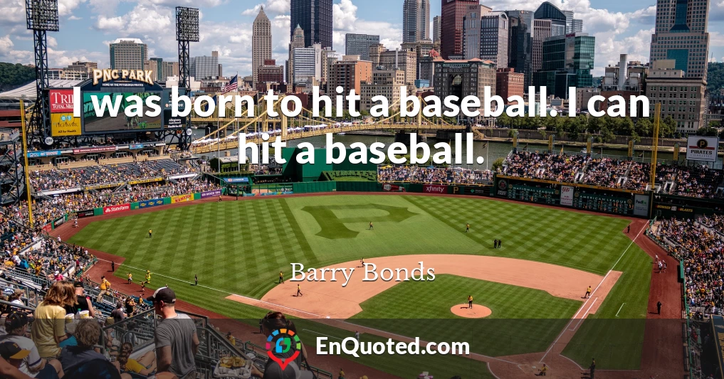 I was born to hit a baseball. I can hit a baseball.