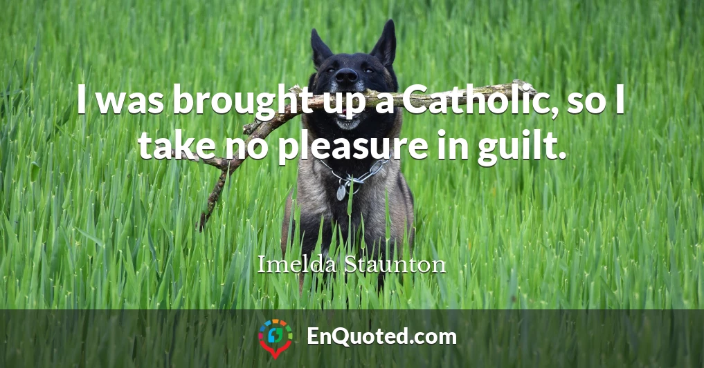 I was brought up a Catholic, so I take no pleasure in guilt.