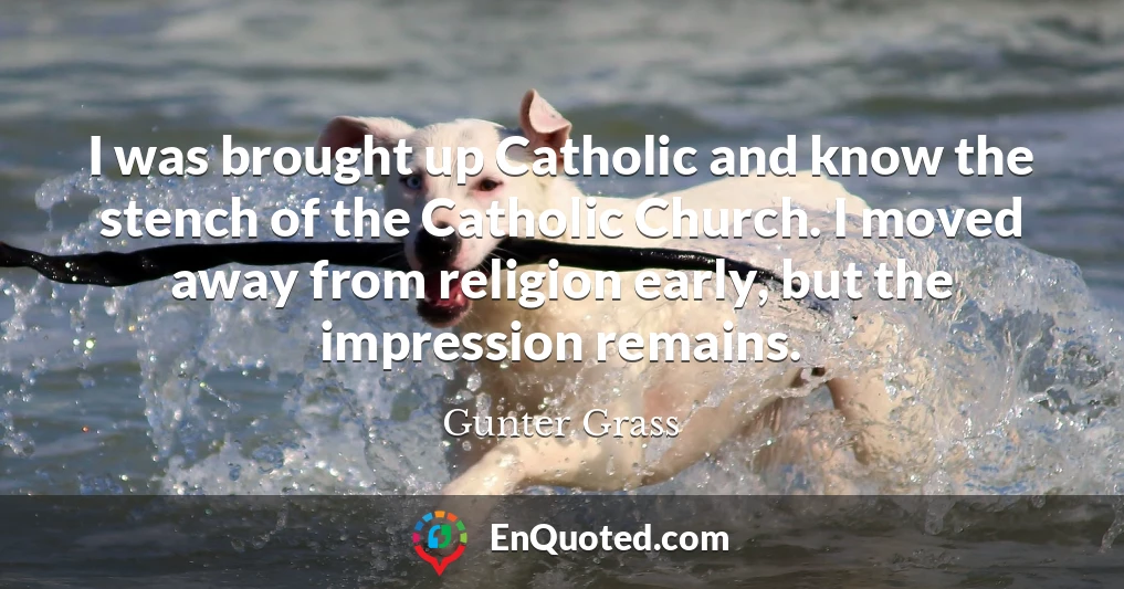 I was brought up Catholic and know the stench of the Catholic Church. I moved away from religion early, but the impression remains.