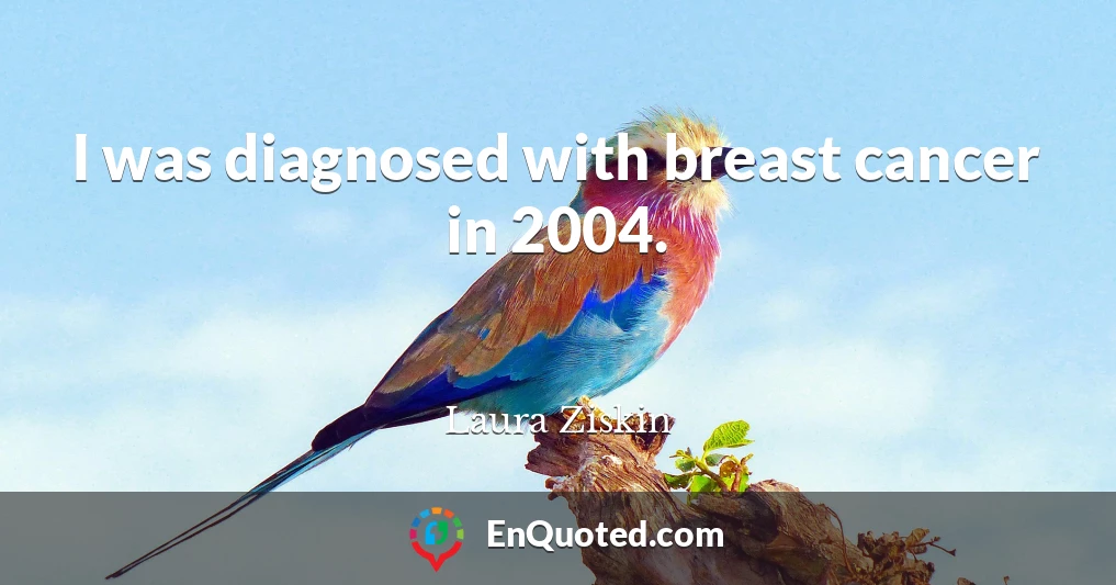 I was diagnosed with breast cancer in 2004.