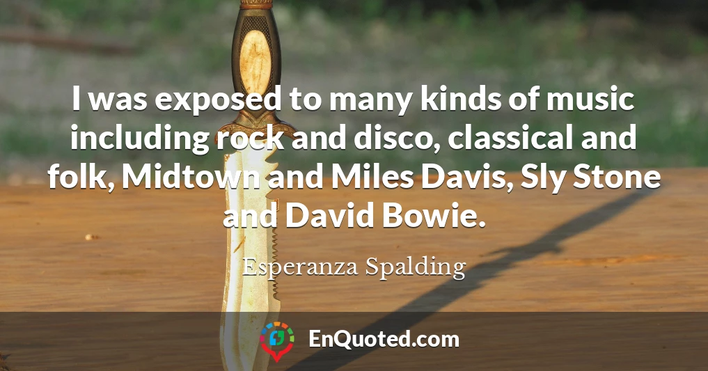 I was exposed to many kinds of music including rock and disco, classical and folk, Midtown and Miles Davis, Sly Stone and David Bowie.
