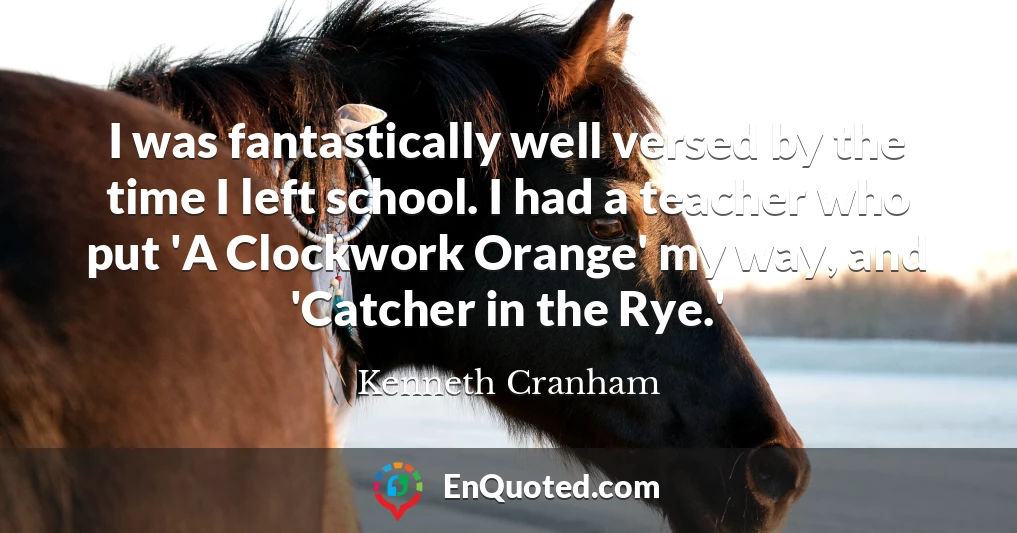I was fantastically well versed by the time I left school. I had a teacher who put 'A Clockwork Orange' my way, and 'Catcher in the Rye.'