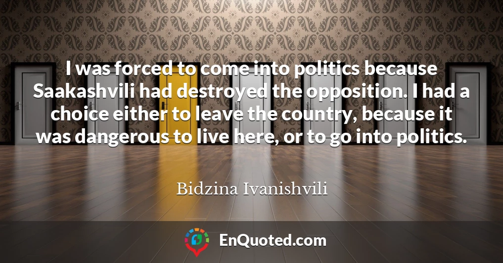 I was forced to come into politics because Saakashvili had destroyed the opposition. I had a choice either to leave the country, because it was dangerous to live here, or to go into politics.