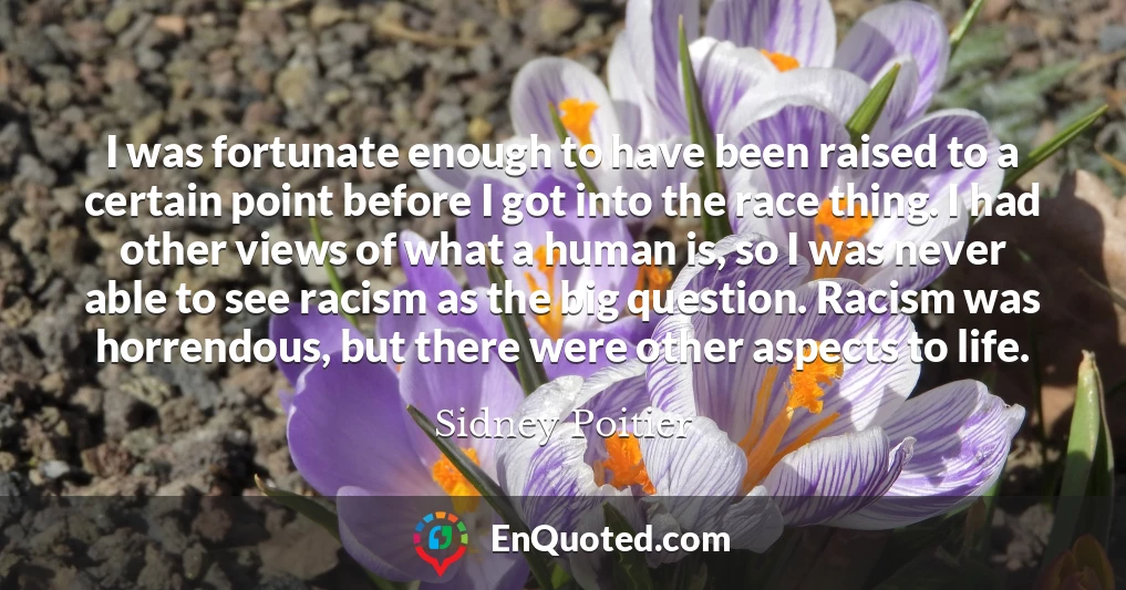 I was fortunate enough to have been raised to a certain point before I got into the race thing. I had other views of what a human is, so I was never able to see racism as the big question. Racism was horrendous, but there were other aspects to life.