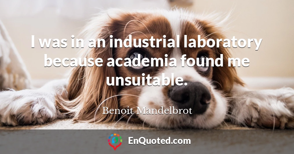 I was in an industrial laboratory because academia found me unsuitable.