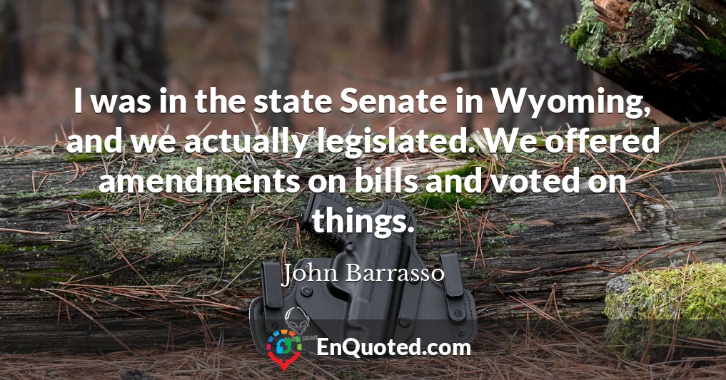 I was in the state Senate in Wyoming, and we actually legislated. We offered amendments on bills and voted on things.