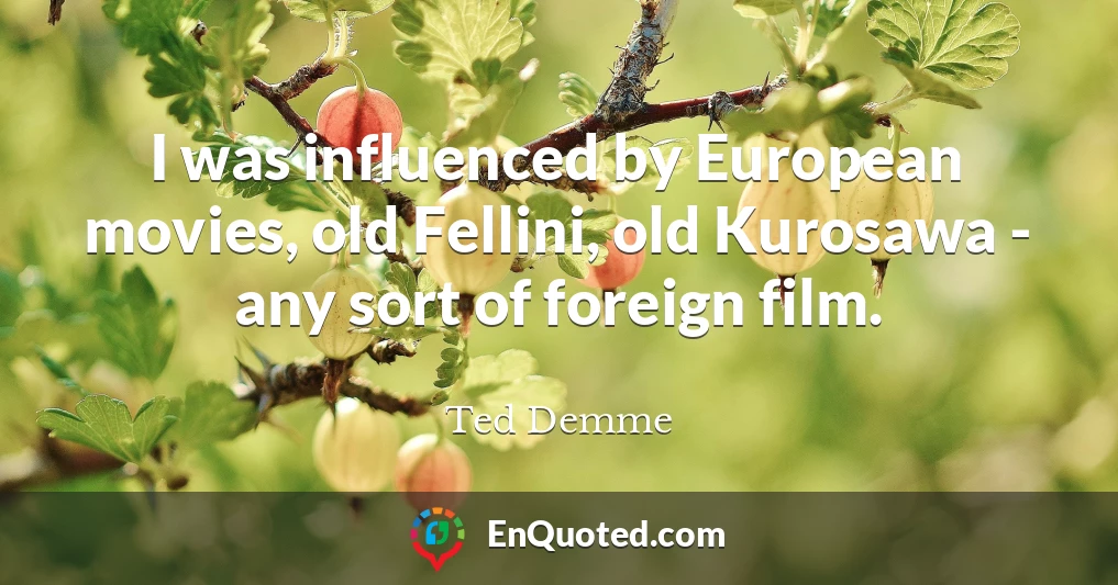 I was influenced by European movies, old Fellini, old Kurosawa - any sort of foreign film.