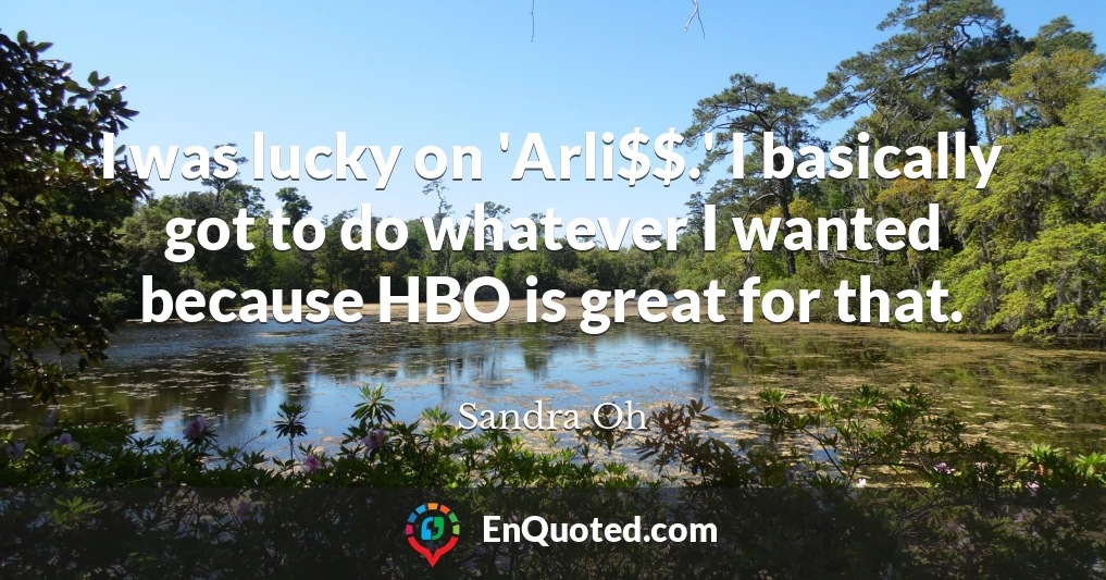 I was lucky on 'Arli$$.' I basically got to do whatever I wanted because HBO is great for that.