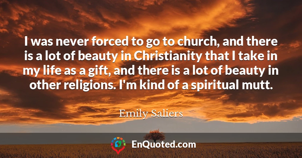 I was never forced to go to church, and there is a lot of beauty in Christianity that I take in my life as a gift, and there is a lot of beauty in other religions. I'm kind of a spiritual mutt.
