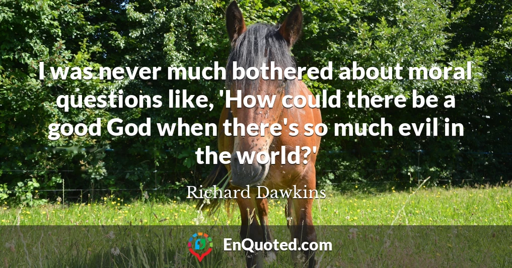 I was never much bothered about moral questions like, 'How could there be a good God when there's so much evil in the world?'