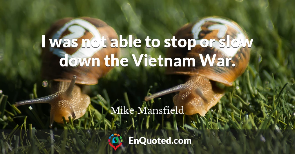 I was not able to stop or slow down the Vietnam War.