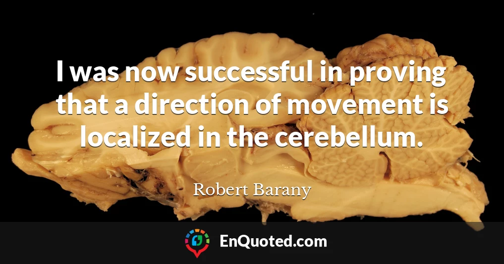 I was now successful in proving that a direction of movement is localized in the cerebellum.