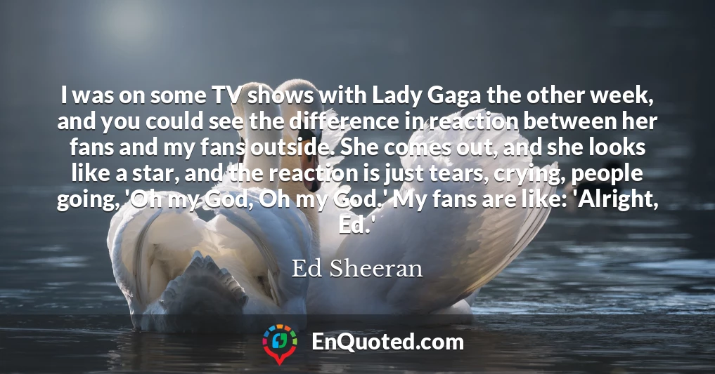 I was on some TV shows with Lady Gaga the other week, and you could see the difference in reaction between her fans and my fans outside. She comes out, and she looks like a star, and the reaction is just tears, crying, people going, 'Oh my God, Oh my God.' My fans are like: 'Alright, Ed.'