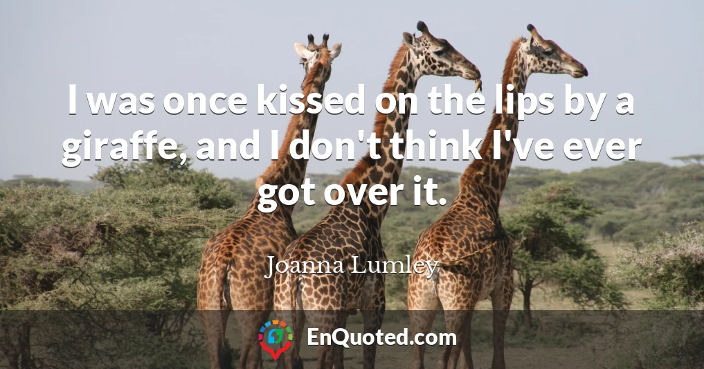 I was once kissed on the lips by a giraffe, and I don't think I've ever got over it.