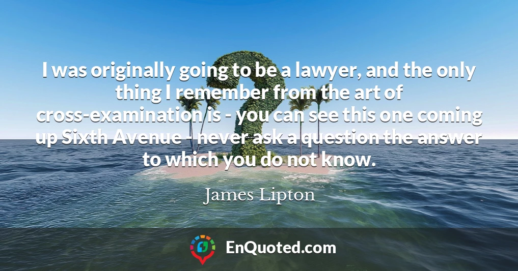I was originally going to be a lawyer, and the only thing I remember from the art of cross-examination is - you can see this one coming up Sixth Avenue - never ask a question the answer to which you do not know.