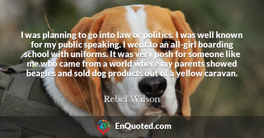 I was planning to go into law or politics. I was well known for my public speaking. I went to an all-girl boarding school with uniforms. It was very posh for someone like me who came from a world where my parents showed beagles and sold dog products out of a yellow caravan.
