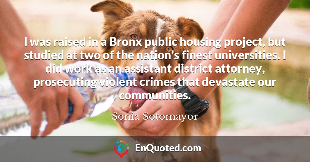 I was raised in a Bronx public housing project, but studied at two of the nation's finest universities. I did work as an assistant district attorney, prosecuting violent crimes that devastate our communities.