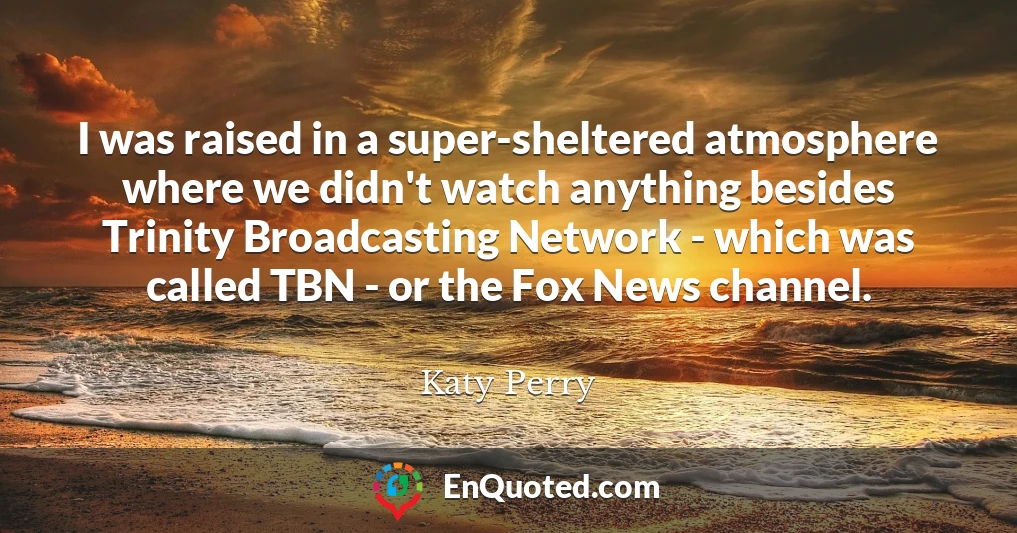 I was raised in a super-sheltered atmosphere where we didn't watch anything besides Trinity Broadcasting Network - which was called TBN - or the Fox News channel.
