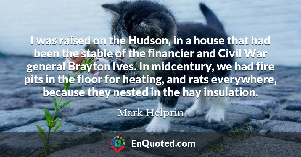 I was raised on the Hudson, in a house that had been the stable of the financier and Civil War general Brayton Ives. In midcentury, we had fire pits in the floor for heating, and rats everywhere, because they nested in the hay insulation.