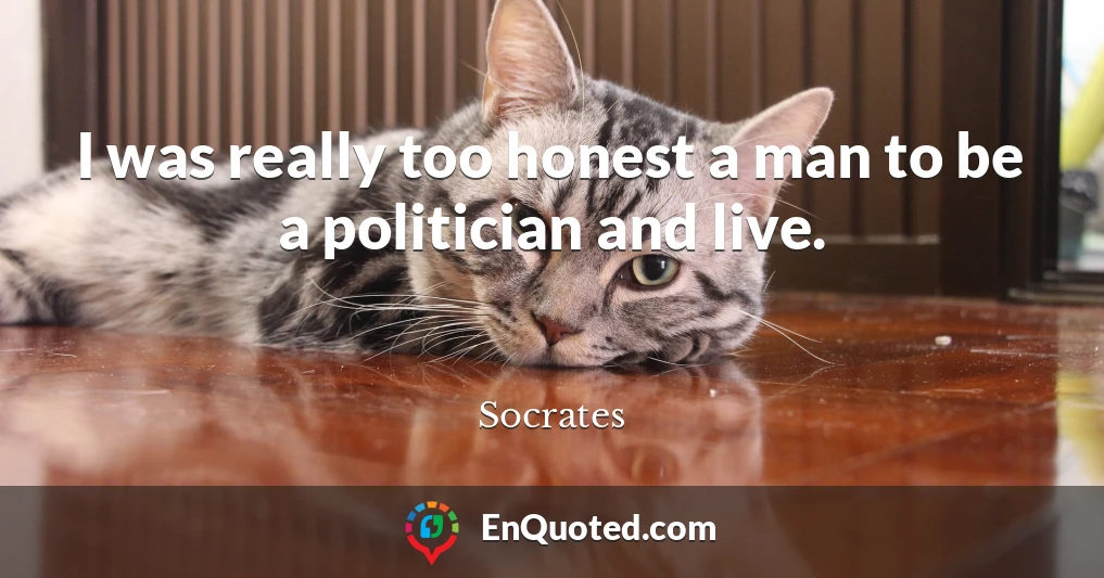 I was really too honest a man to be a politician and live.