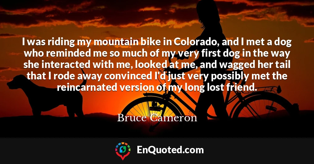 I was riding my mountain bike in Colorado, and I met a dog who reminded me so much of my very first dog in the way she interacted with me, looked at me, and wagged her tail that I rode away convinced I'd just very possibly met the reincarnated version of my long lost friend.