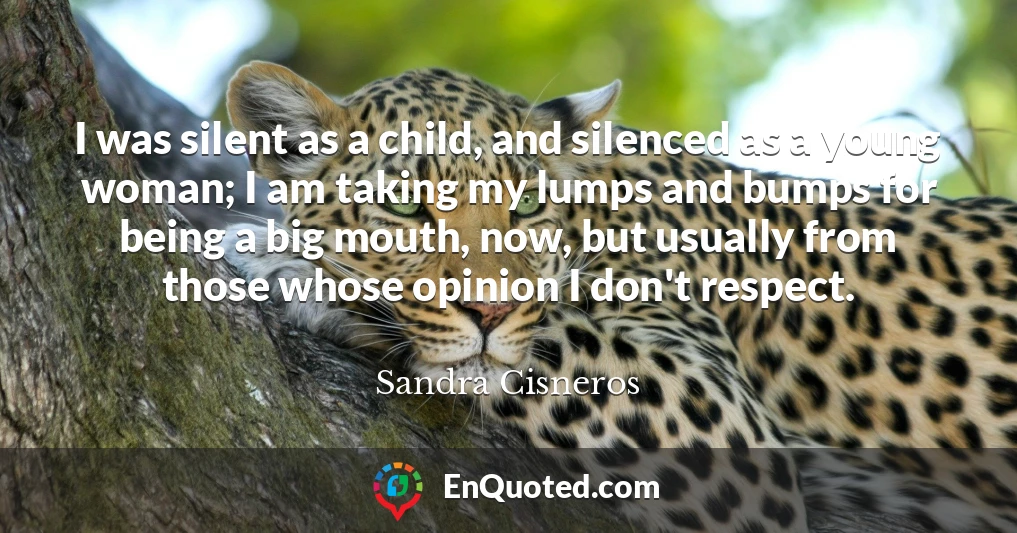 I was silent as a child, and silenced as a young woman; I am taking my lumps and bumps for being a big mouth, now, but usually from those whose opinion I don't respect.