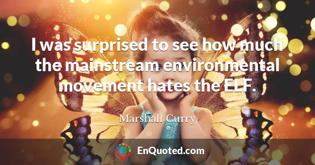 I was surprised to see how much the mainstream environmental movement hates the ELF.