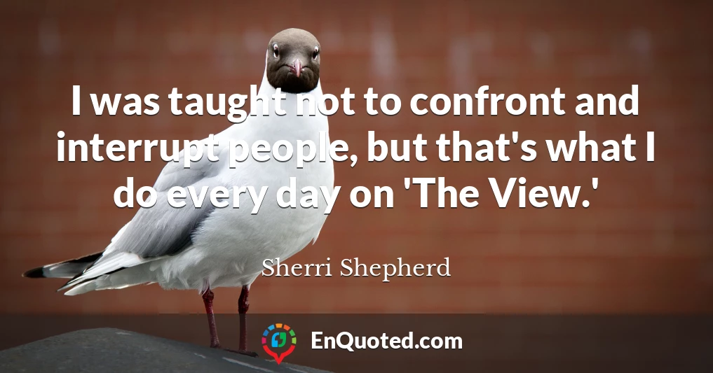 I was taught not to confront and interrupt people, but that's what I do every day on 'The View.'