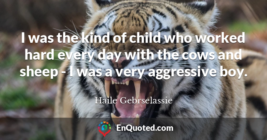 I was the kind of child who worked hard every day with the cows and sheep - I was a very aggressive boy.