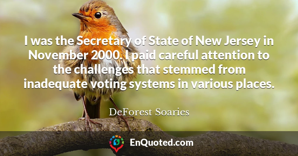 I was the Secretary of State of New Jersey in November 2000. I paid careful attention to the challenges that stemmed from inadequate voting systems in various places.
