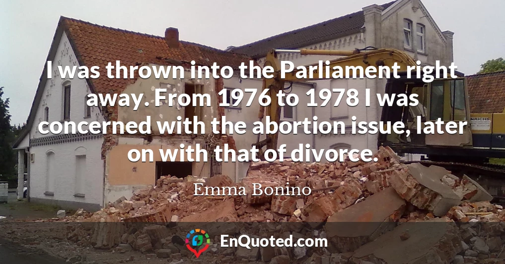 I was thrown into the Parliament right away. From 1976 to 1978 I was concerned with the abortion issue, later on with that of divorce.