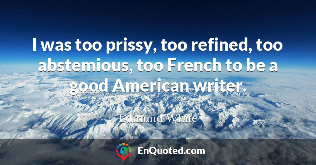 I was too prissy, too refined, too abstemious, too French to be a good American writer.