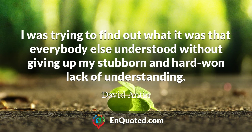 I was trying to find out what it was that everybody else understood without giving up my stubborn and hard-won lack of understanding.