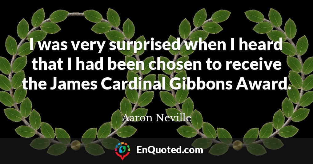 I was very surprised when I heard that I had been chosen to receive the James Cardinal Gibbons Award.