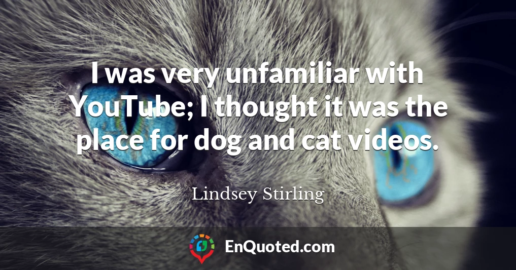 I was very unfamiliar with YouTube; I thought it was the place for dog and cat videos.