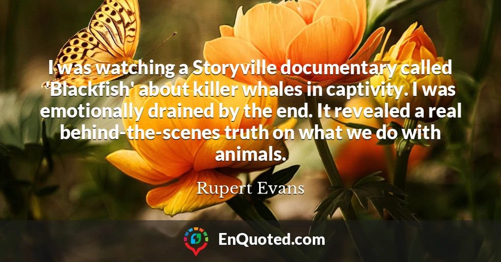 I was watching a Storyville documentary called 'Blackfish' about killer whales in captivity. I was emotionally drained by the end. It revealed a real behind-the-scenes truth on what we do with animals.
