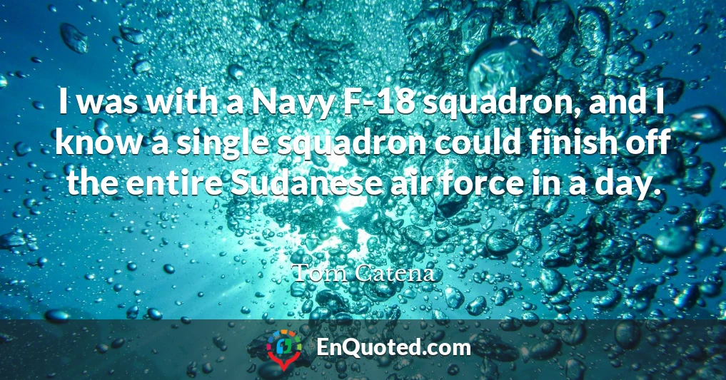 I was with a Navy F-18 squadron, and I know a single squadron could finish off the entire Sudanese air force in a day.